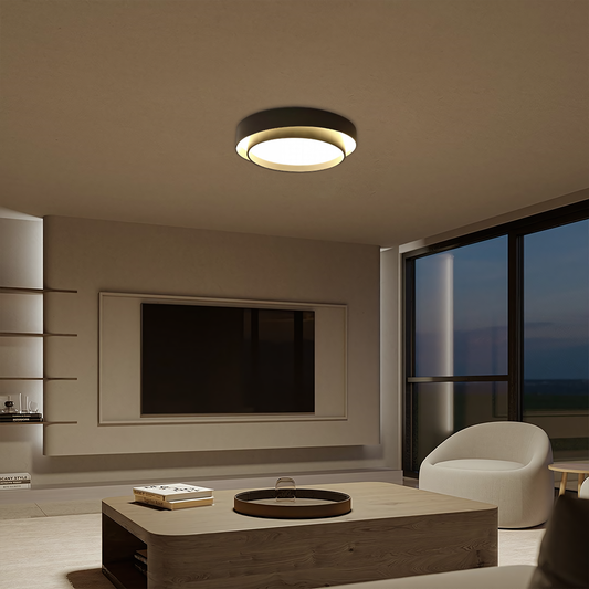 Flint Disc plafondlamp