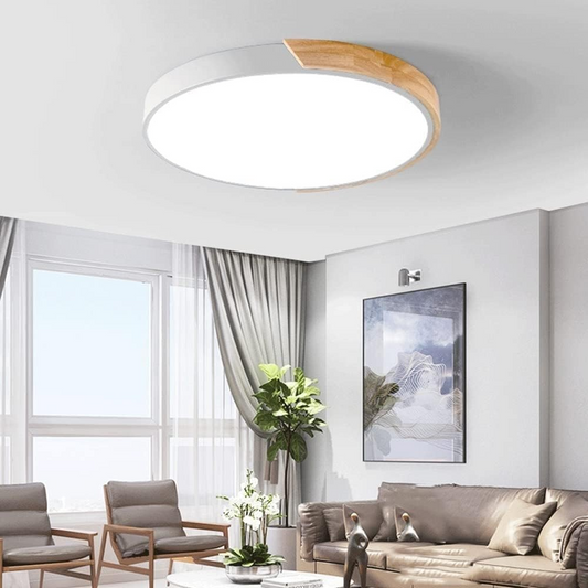 Kleurrijke Eenvoudige Ronde LED Plafondlampen Voor Huis Wit