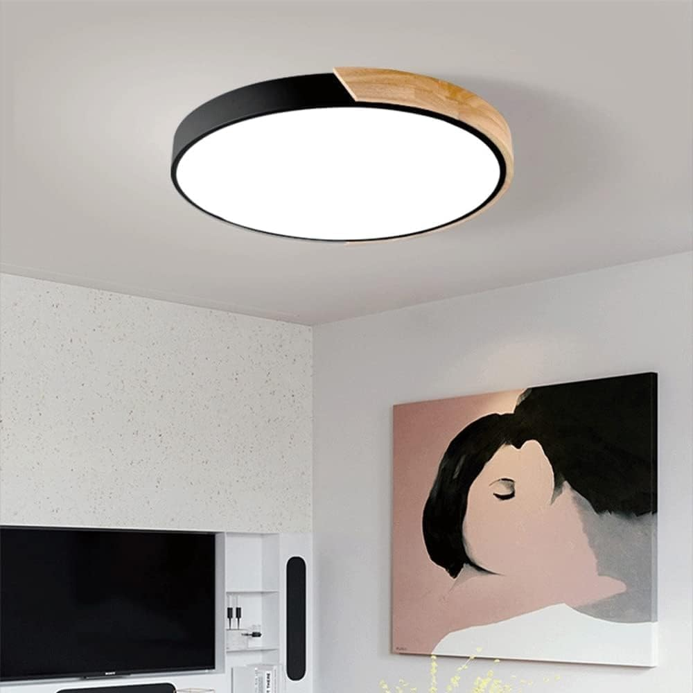 Kleurrijke Eenvoudige Ronde LED Plafondlampen Voor Huis Zwart