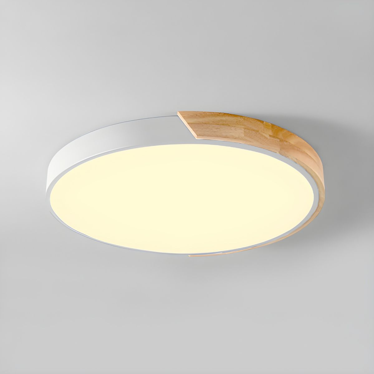 Kleurrijke Eenvoudige Ronde LED Plafondlampen Voor Huis