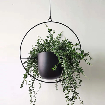 Elegante Luxe Moderne Hangpotten Voor Binnenplanten Decor Zwart Cirkel
