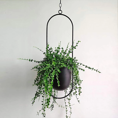 Elegante Luxe Moderne Hangpotten Voor Binnenplanten Decor Zwart Ovaal