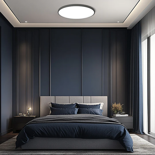Moderne Ronde LED Plafondlamp Voor Woonkamer En Slaapkamer Zwart
