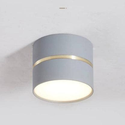 Opbouwspot Zwart LED met Verstelbare Verlichting voor Binnen Grijs