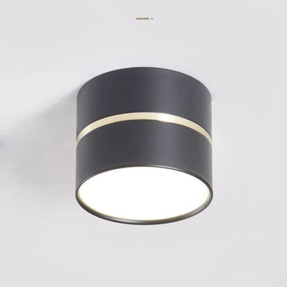 Opbouwspot Zwart LED met Verstelbare Verlichting voor Binnen Zwart
