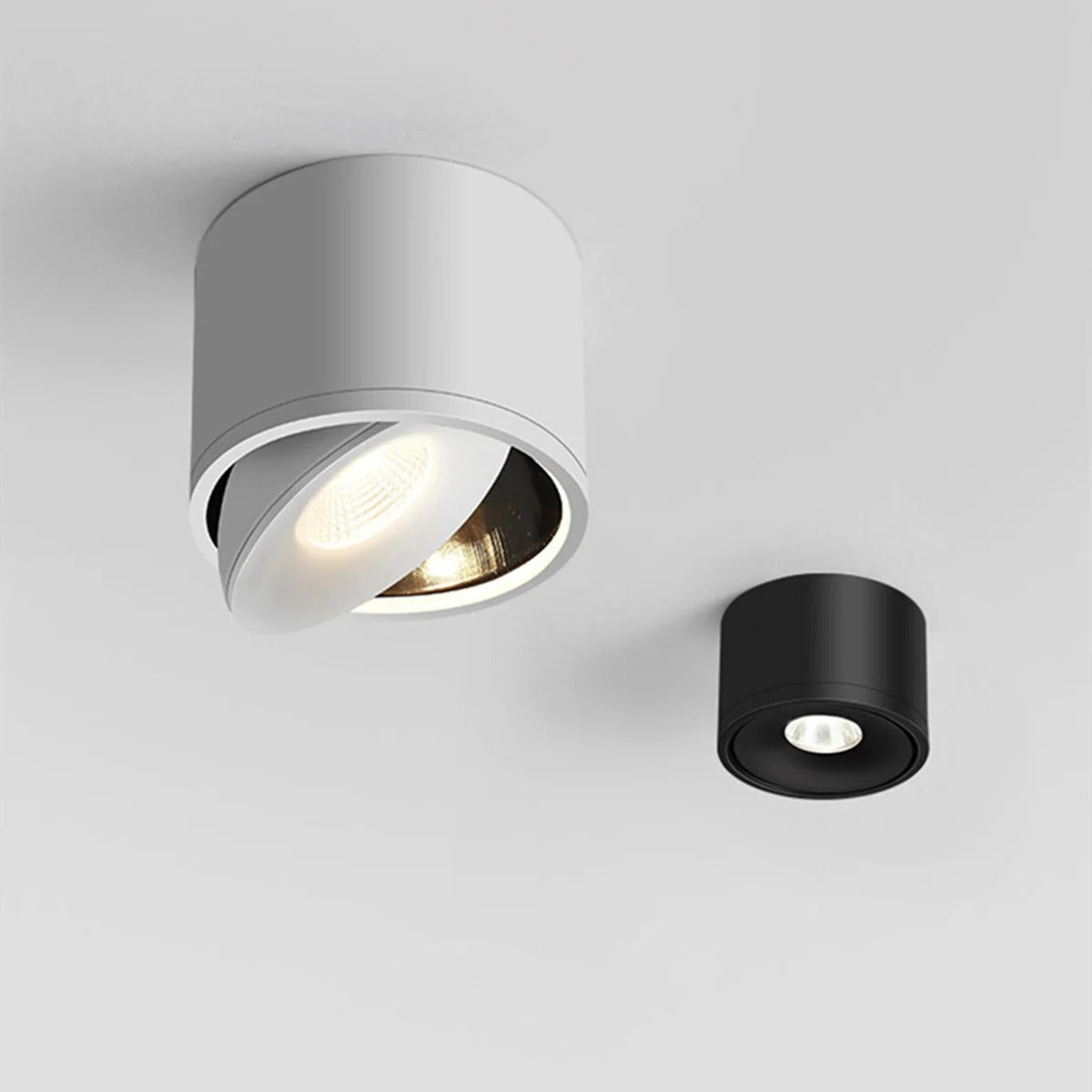 Opbouwspot Zwart Verstelbare Wattage 360 Grad Rotatie