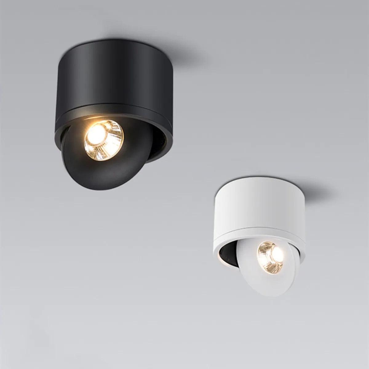 Opbouwspot Zwart Verstelbare Wattage 360 Grad Rotatie