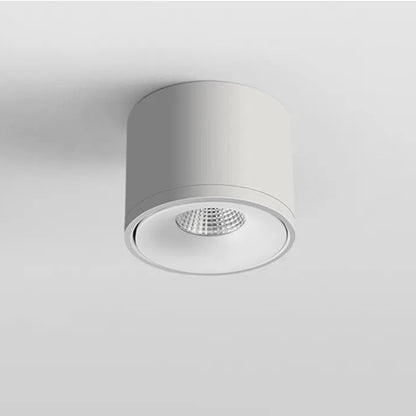 Opbouwspot Zwart Verstelbare Wattage 360 Grad Rotatie Wit