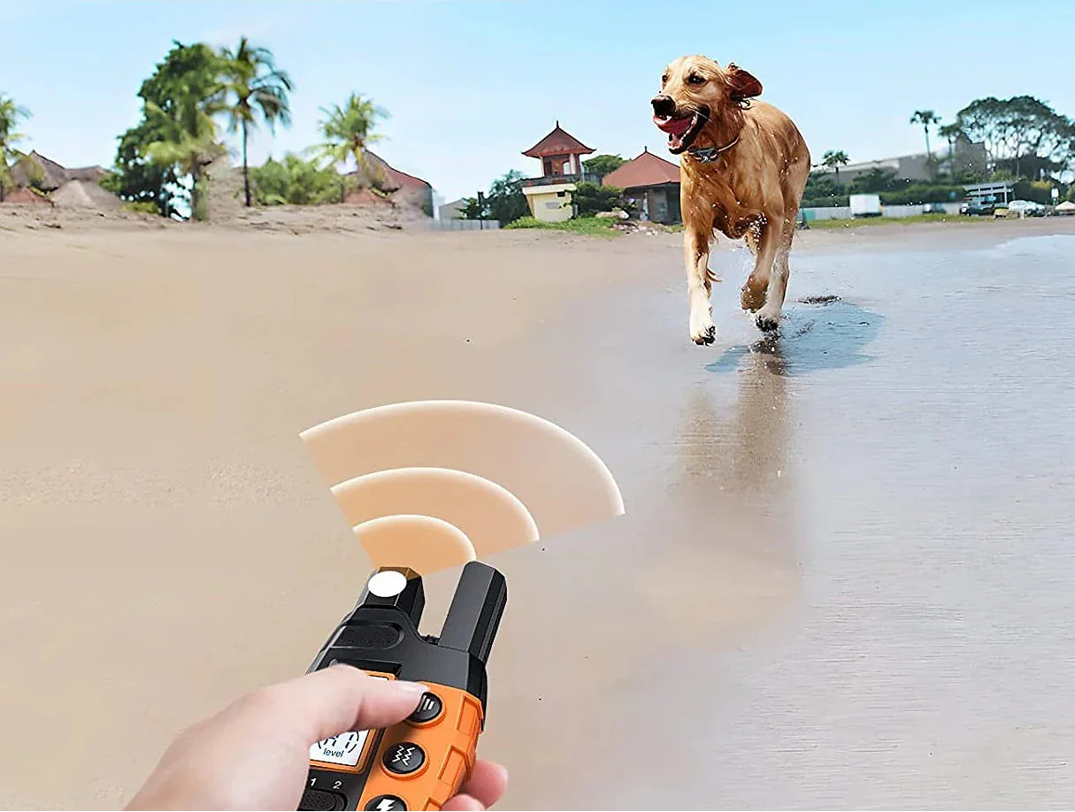 Premium 1000m Hondentrainingshalsband met Afstandsbediening - Waterdicht, Oplaadbare E-halsband voor Alle Hondenformaten