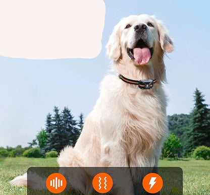 Premium 1000m Hondentrainingshalsband met Afstandsbediening - Waterdicht, Oplaadbare E-halsband voor Alle Hondenformaten