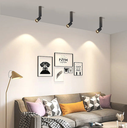 Rotatable LED Downlight Geborsteld Nikkel 500 Lumen Verlichting