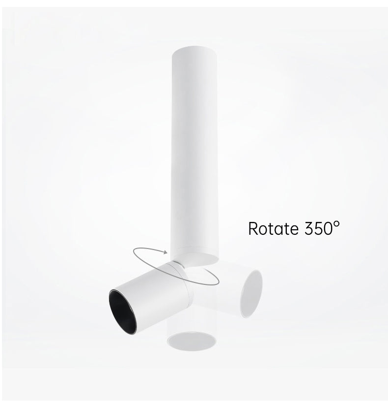 Rotatable LED Downlight Geborsteld Nikkel 500 Lumen Verlichting Wit met zwart