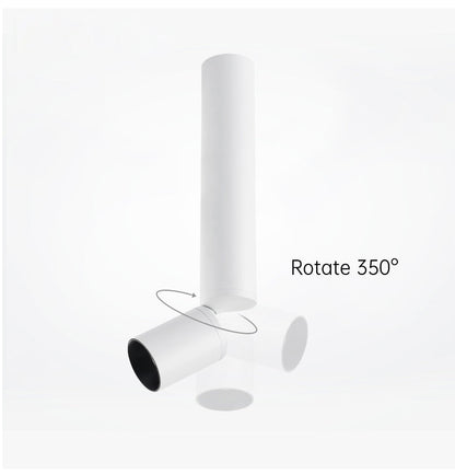 Rotatable LED Downlight Geborsteld Nikkel 500 Lumen Verlichting Wit met zwart