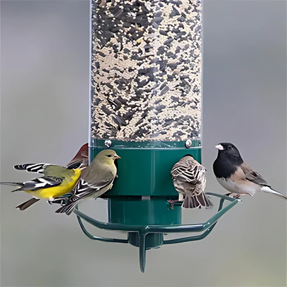 Eekhoornbestendig Hangend Vogelvoederhuisje Buiten Met Dak