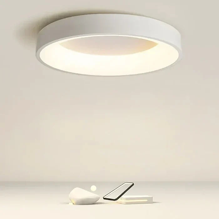Scandinavische Ronde LED Plafondlamp Voor Modern Interieur Grijs
