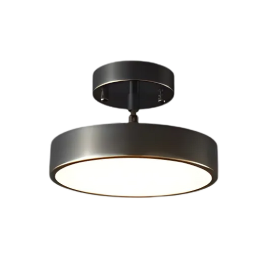 Zwarte Plafondlamp met Modern Design en Tijdloze Eleganties ⌀30cm