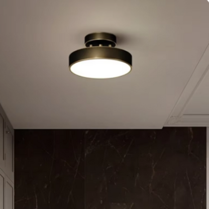 Zwarte Plafondlamp met Modern Design en Tijdloze Eleganties