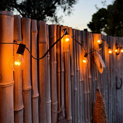 SOLÉA - Feestverlichting - 8m