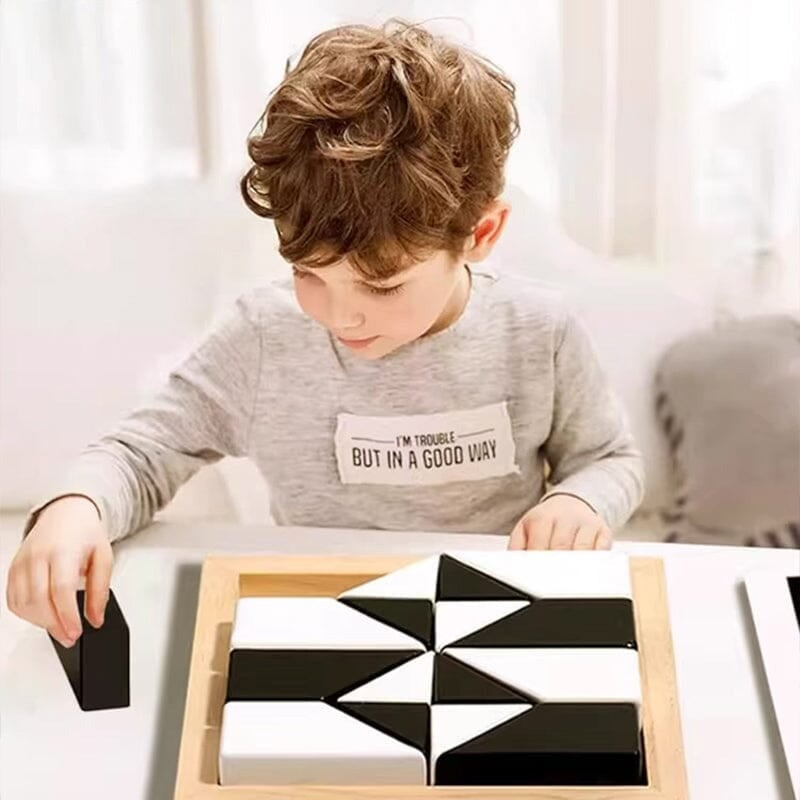 Houten Verborgen Blokkenpuzzel Uitdagend Voor Puzzelliefhebbers