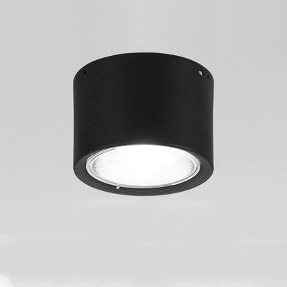 Zwarte LED Plafondlamp Verstelbare Plafonniere Vlakke Montage Zwart