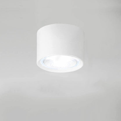 Zwarte LED Plafondlamp Verstelbare Plafonniere Vlakke Montage