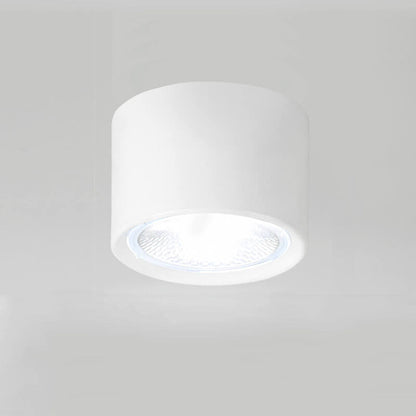 Zwarte LED Plafondlamp Verstelbare Plafonniere Vlakke Montage Wit