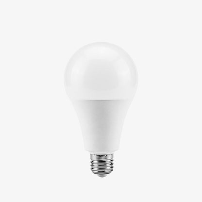 LED E27 Ampoule Globe Vorm 3w Tot 20w Voor Slaapkamer 20W Froide