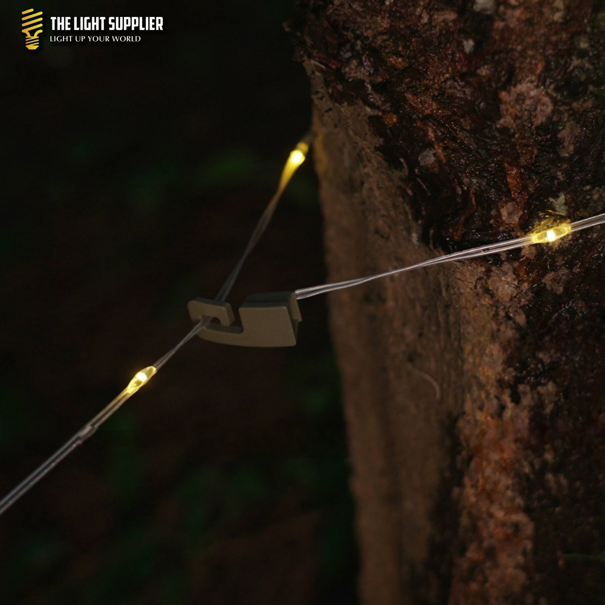 HUE - String Verlicht Elke Locatie Sfeervol en Praktisch