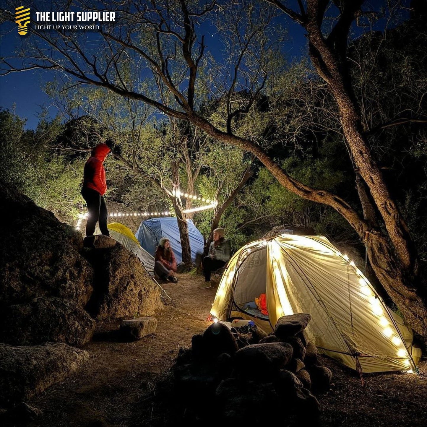 HUE - String Verlicht Elke Locatie Sfeervol en Praktisch