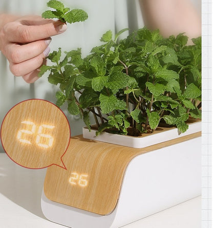 Hydrocultuur Bloempot - LED Planten Groeien voor Thuis