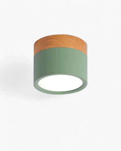 Kōmei - Plafondlamp Voor Elegante Verlichting in Uw Ruimte Groen