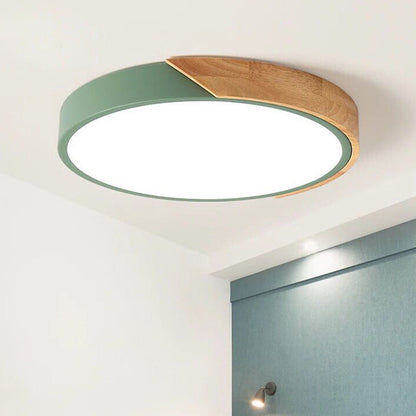 Moderne LED Plafondlamp voor Slaapkamer - Acryl en Metaal Rond Inbouwlamp Groen